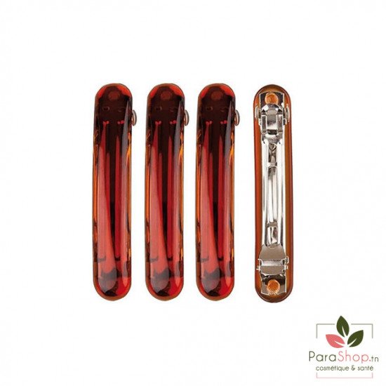 TITANIA 4 Barrettes Marrons 6x1CM - 7863B